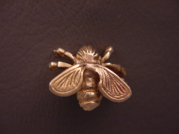 Bubble Bee.jpg