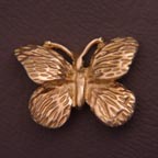 Butterfly.jpg