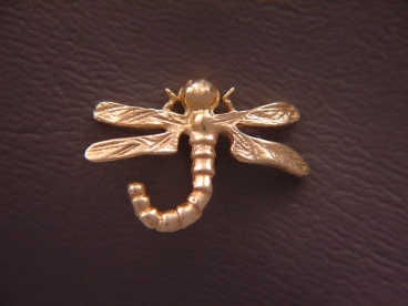 Dragonfly.jpg