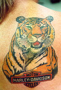 tigerhd.jpg