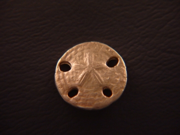 SandDollar.jpg