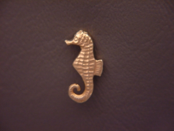 Seahorse.jpg