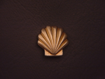 Shell.jpg