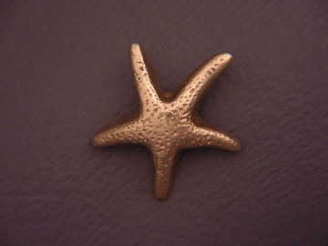Starfish.jpg