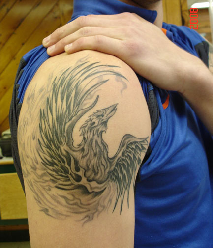birdhealed2.jpg