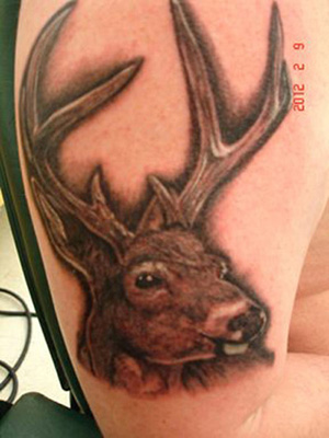 deerhead1.jpg